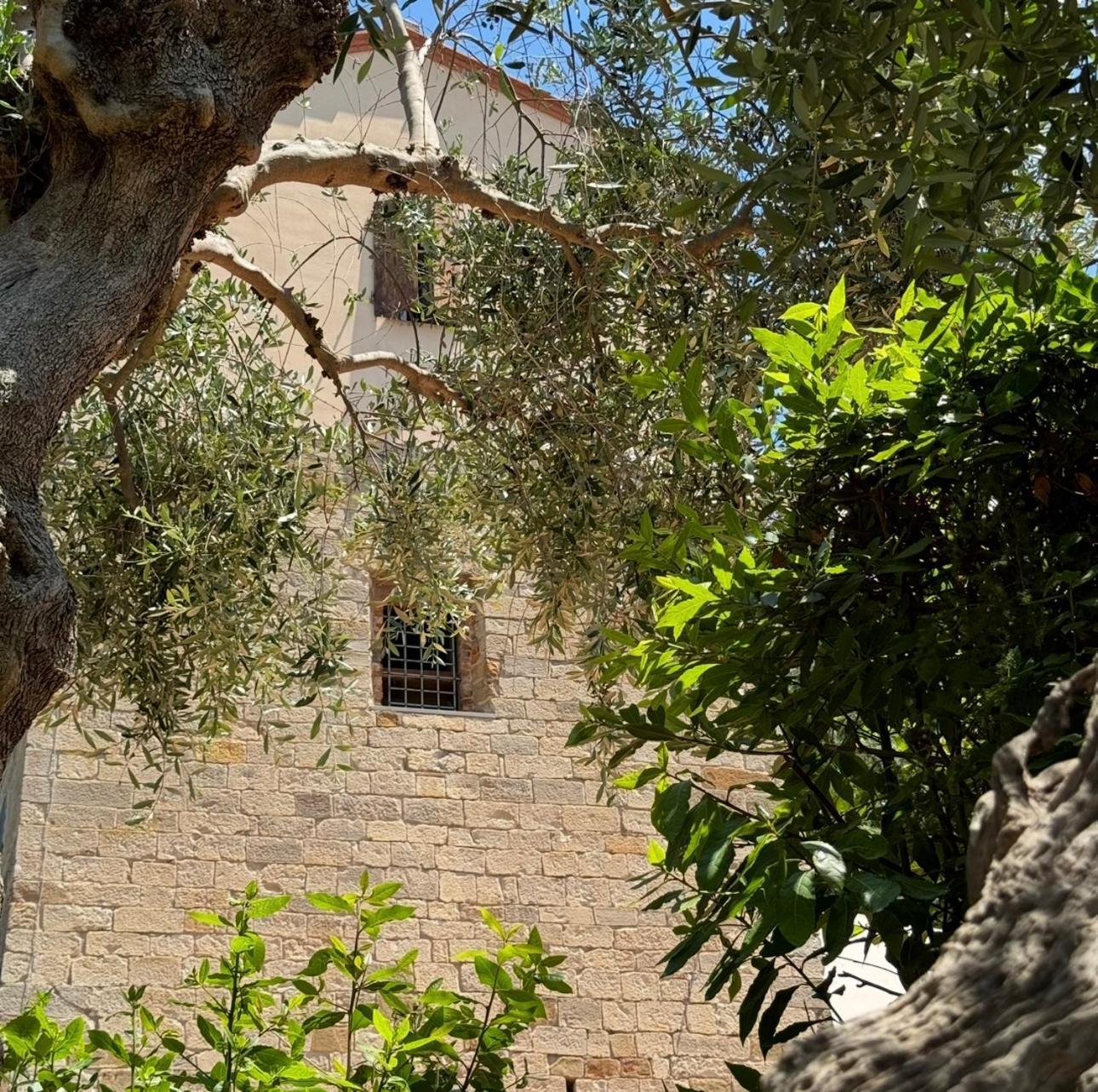 Madonna Del Poggio Cav Aparthotel Scarlino Luaran gambar