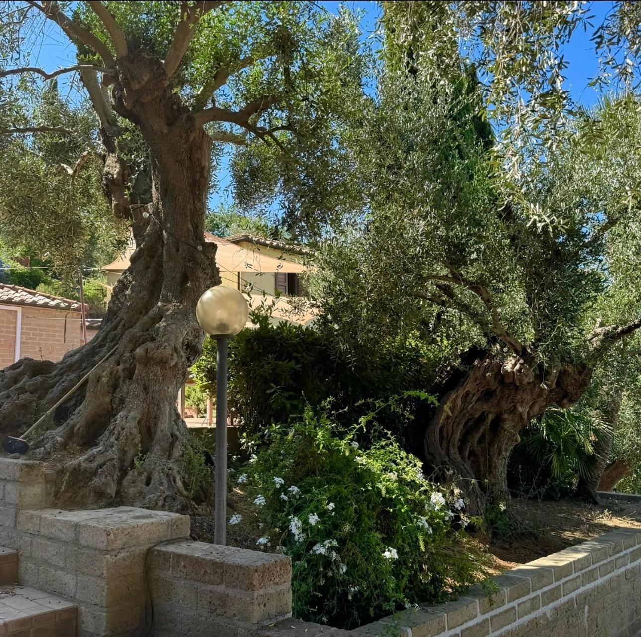 Madonna Del Poggio Cav Aparthotel Scarlino Luaran gambar