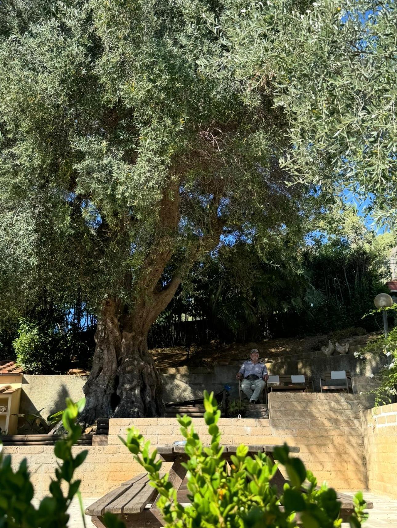 Madonna Del Poggio Cav Aparthotel Scarlino Luaran gambar